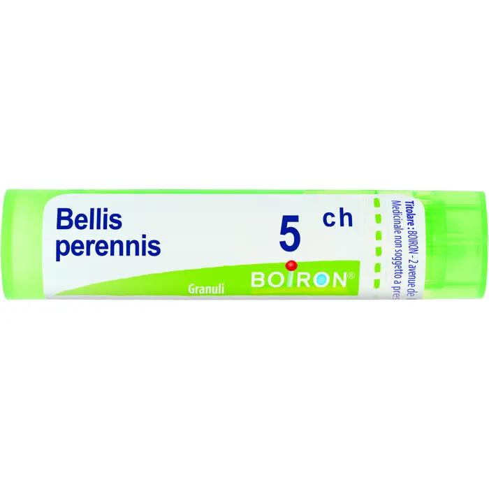 Boiron bellis peren boi*5ch 80gr 4g