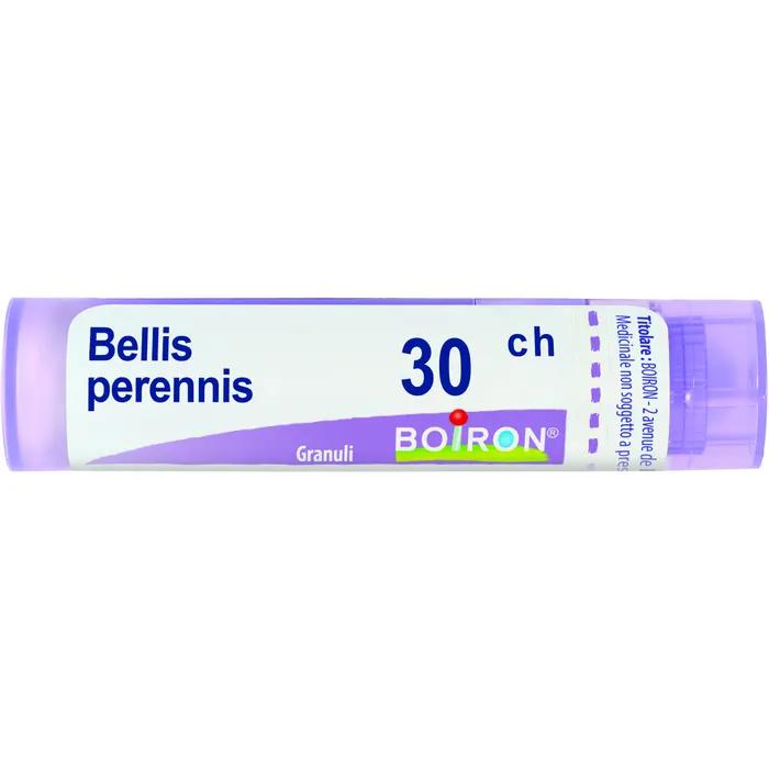 Boiron bellis peren boi*30ch 80gr 4g
