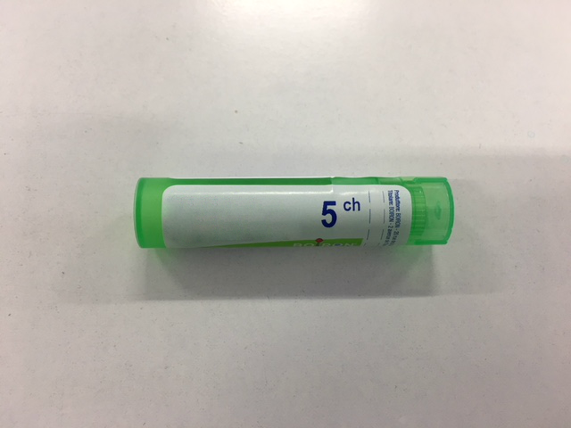 Boiron ruta grav boi*5ch 80gr 4g