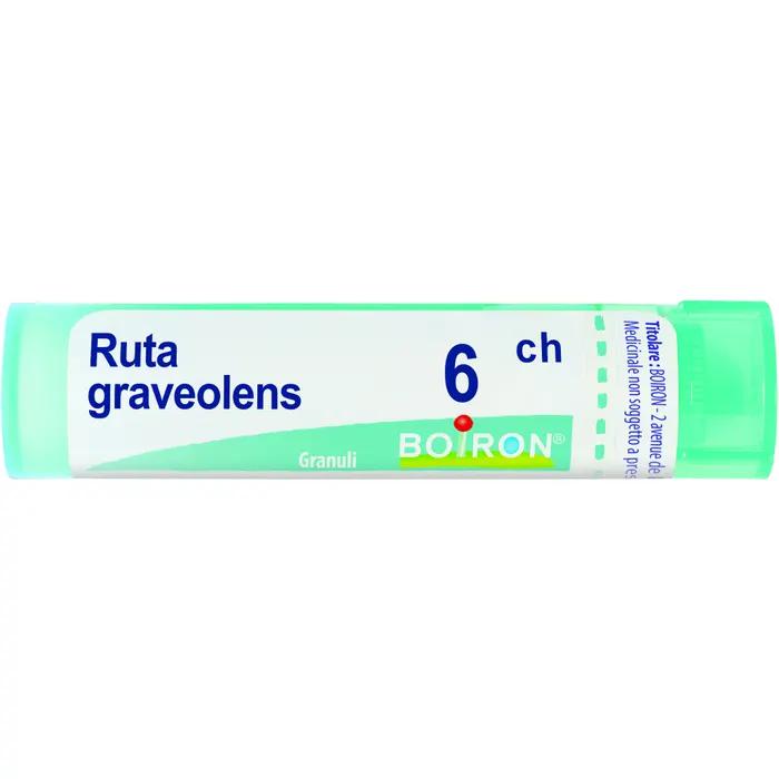 Boiron ruta grav boi*6ch 80gr 4g