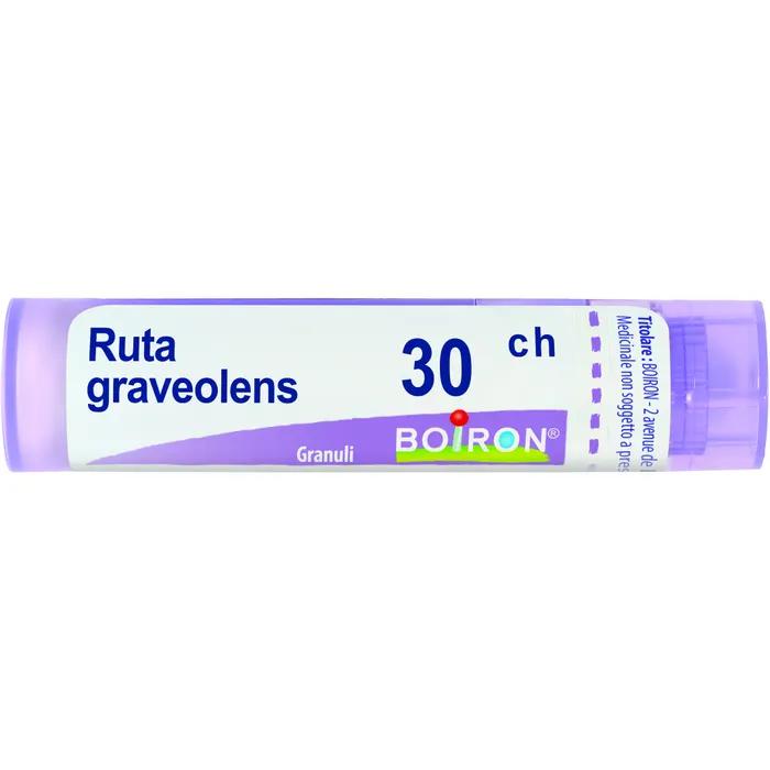 Boiron ruta grav boi*30ch 80gr 4g