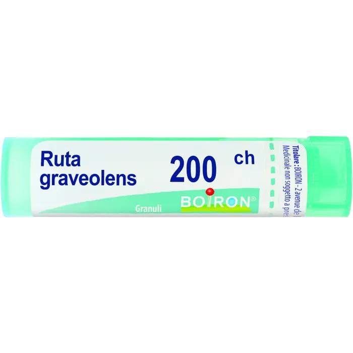 Boiron ruta grav boi*200ch 80gr 4g
