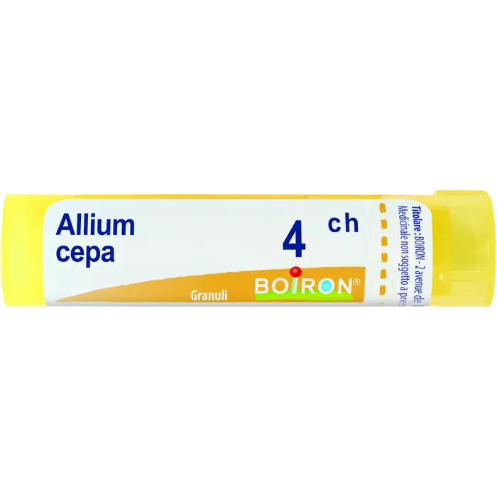 Boiron allium cepa 4ch gr