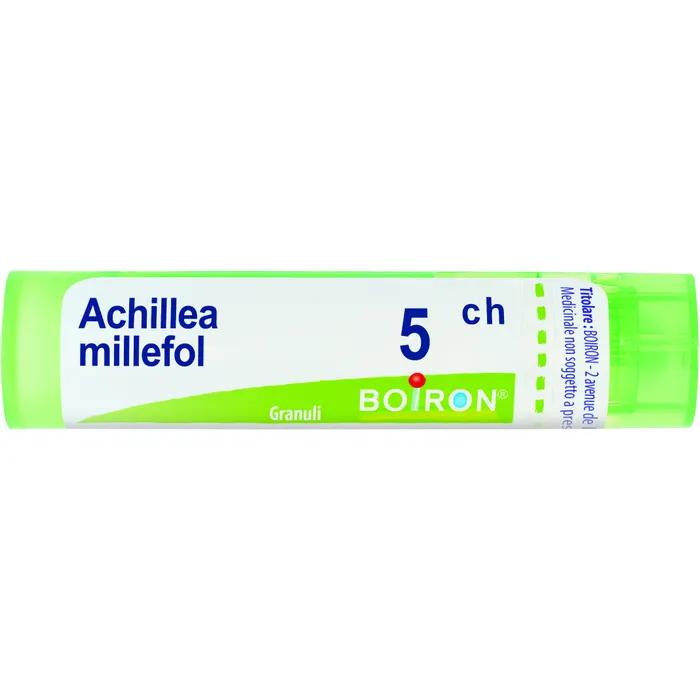 Boiron achillea millef 5ch gr