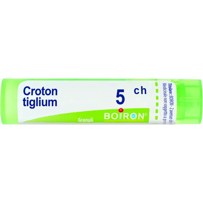 Boiron croton tiglium 5ch gr