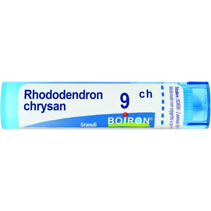 Boiron rhododendron chrysan 9ch gr