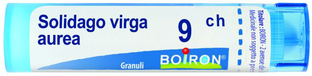 Boiron solidago virga aurea 9ch gr