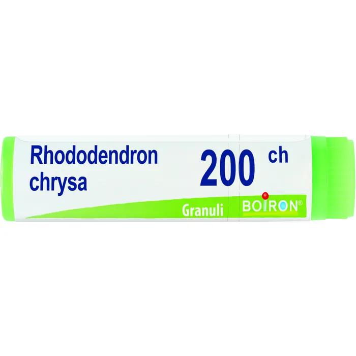 Boiron rhododendron chrysan 200ch gl