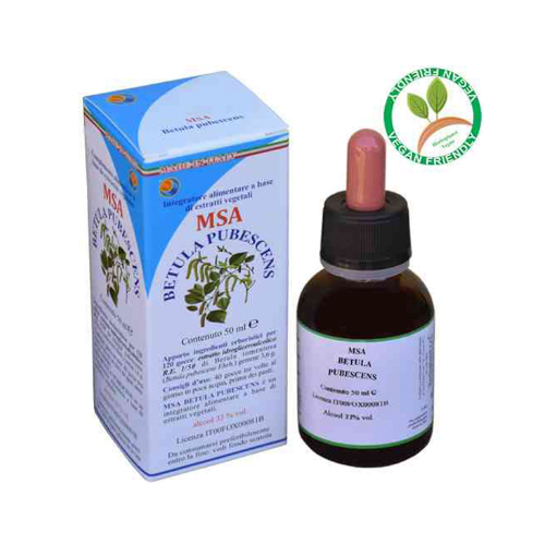 Herboplanet msa betula pubescens 50ml