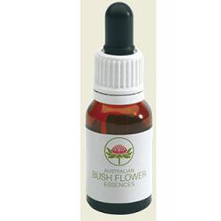 Little flannel flower 15ml