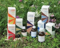 Raemil achillea mial comp 50ml