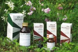 Raemil primula olio 25ml