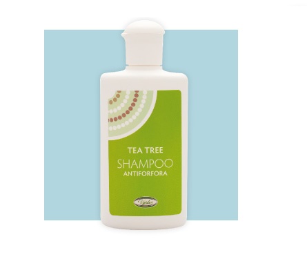Tea tree shampoo antiforf200ml
