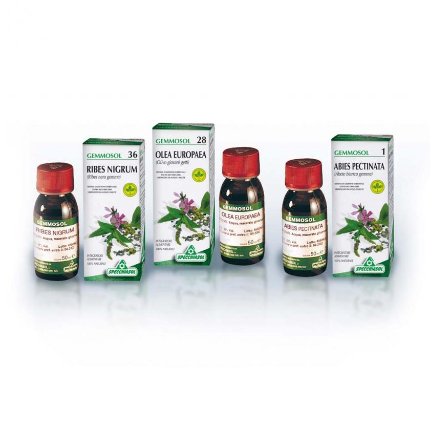 Gemmosol 42 sequoia 50ml