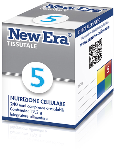 Named new era 5 240gr