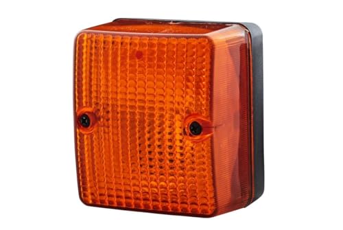 Hella 2Ba 996 012-061 Indicatore Direzione - Montaggio, Esterno - Colore Diffusore Luce: Giallo - Sx/Dx