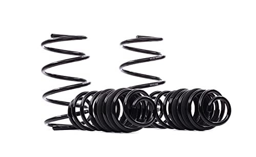 Eibach E10-81-016-04-22 - Set Di Molle