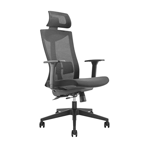 Ergo Office Er-414 Sedia Da Ufficio Ergonomica Con Ruote E Supporto Lombare Girevole Altezza Regolabile Inclinazione Dello Schienale Max.150Kg (Sedia