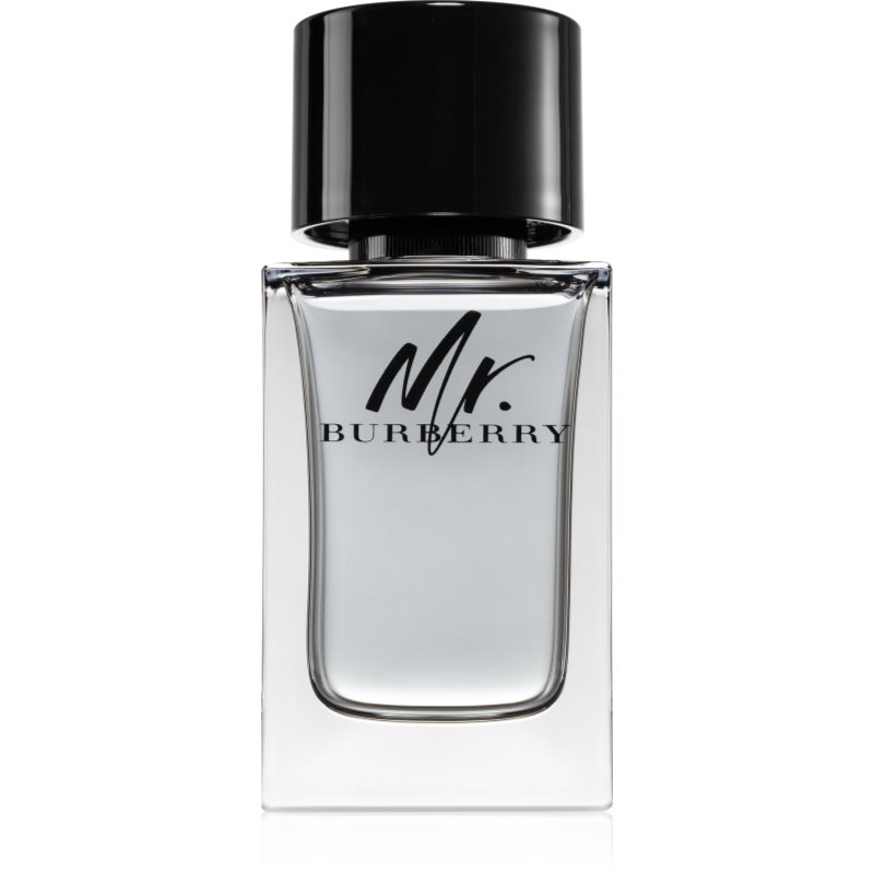 Burberry Mr. Burberry Eau De Toilette Per Uomo 100 Ml