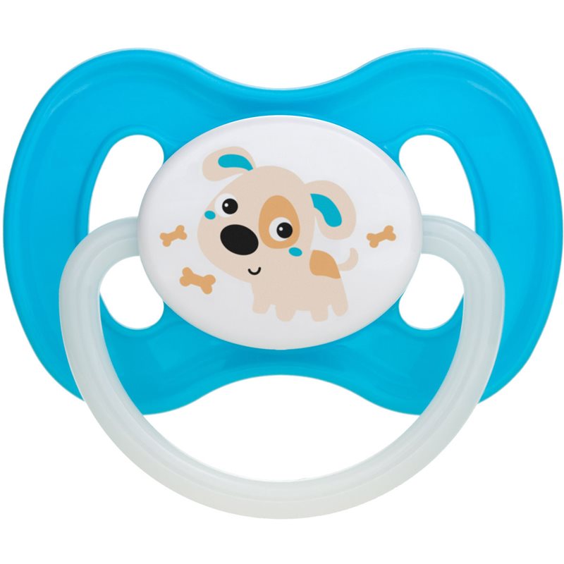 Canpol Babies Bunny & Company 0-6M Ciuccio Turquoise 1 Pz