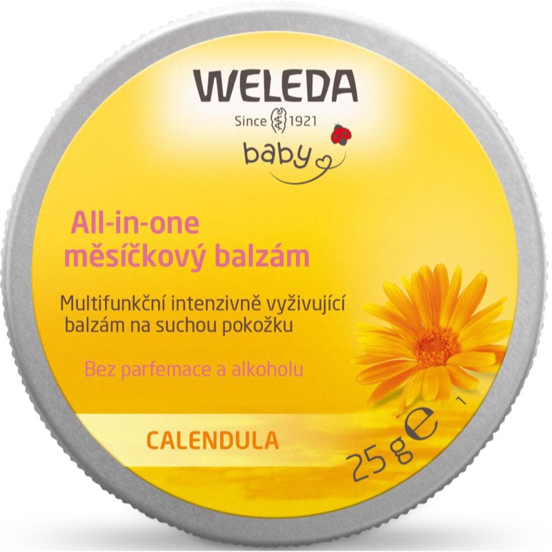 Weleda Baby Derma Balsamo Per Pelli Secche E Sensibili 25 G
