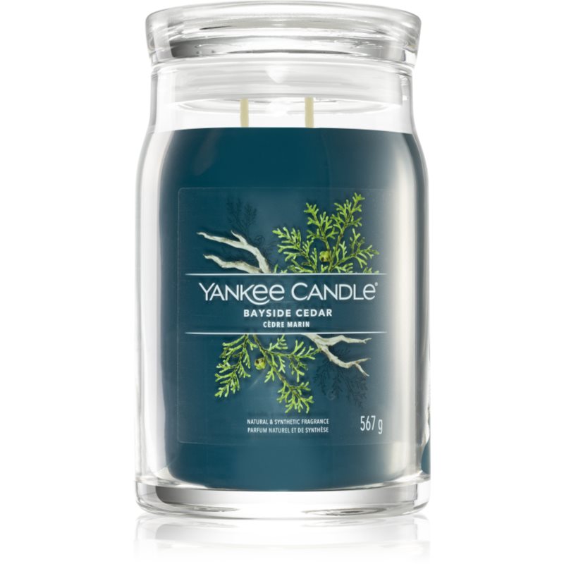 Yankee Candle Bayside Cedar Candela Profumata I Signature 567 G