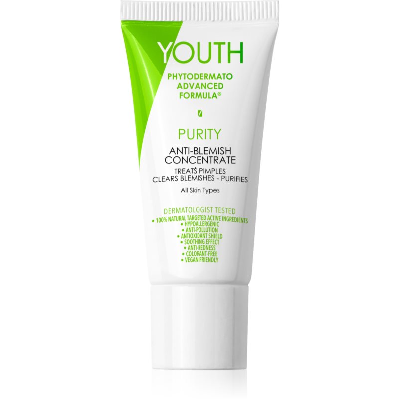 Youth Purity Anti-Blemish Concentrate Trattamento Localizzato Anti-Acne 20 Ml