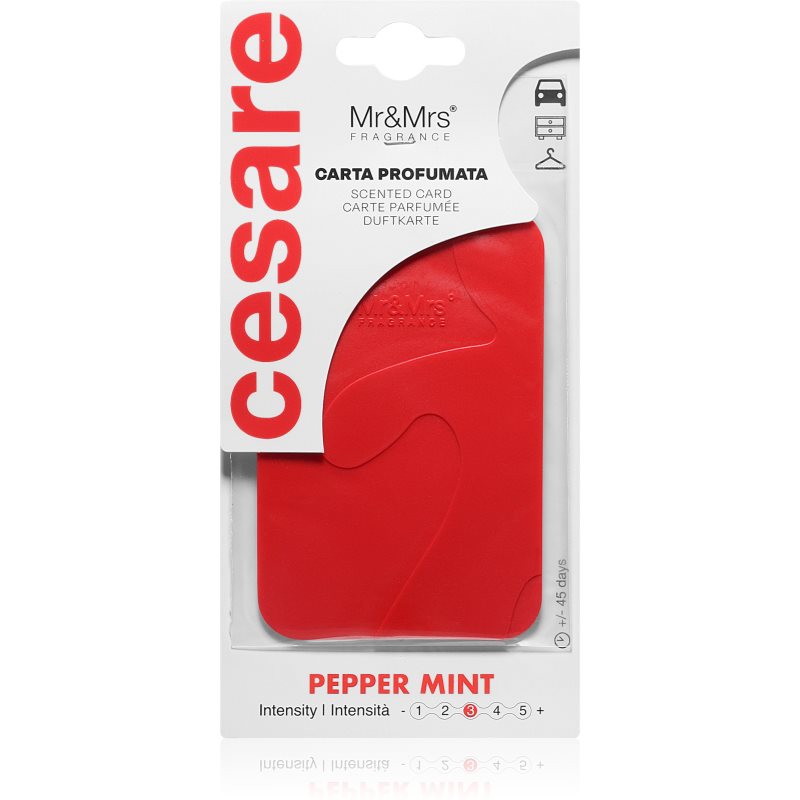 Mr & Mrs Fragrance Cesare Peppermint Carta Profumata 1 Pz