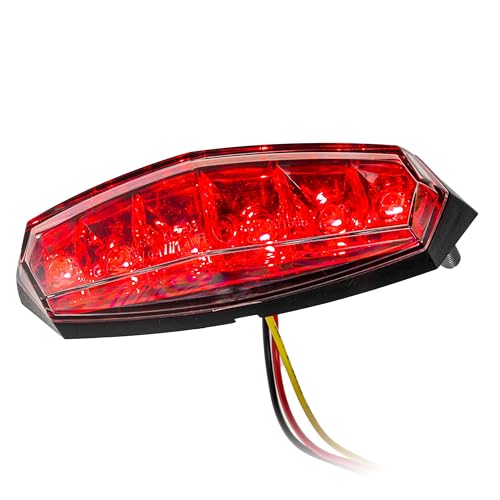Fanalino Posteriore Koso Led, Universale, Trasparente