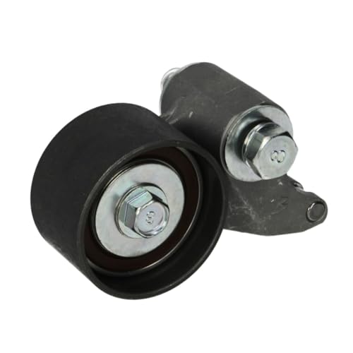 Snr Gt353.35 Rullo Tenditore, Cinghia Dentata