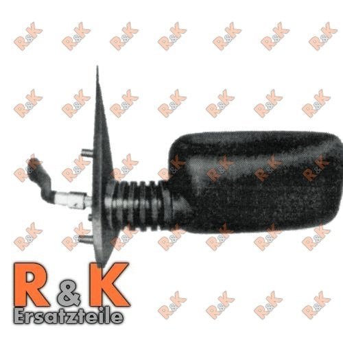 Prasco Ft0177004 - Specchio Esterno