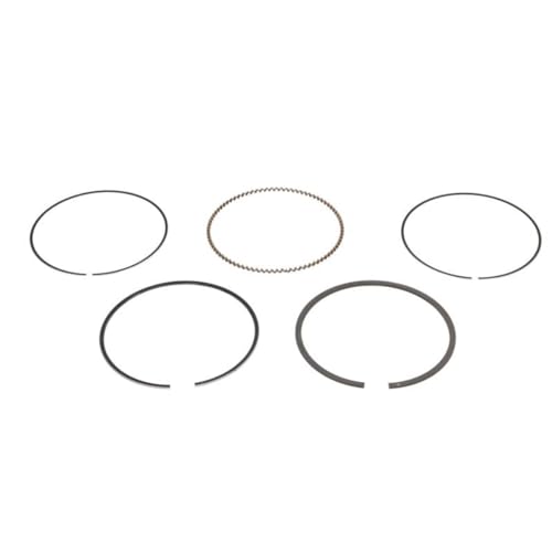 Goetze Engine 08-445700-00 Pistone E Anelli