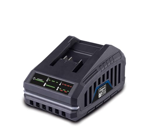 Caricabatterie - Scheppach - 2,4 A - Sbc2.4A - Carica Le Batterie Agli Ioni Di Litio Della Gamma Scheppach 20V Ixes