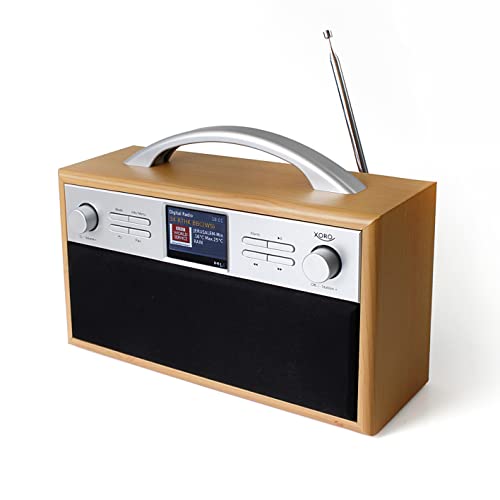 Xoro Dab 250 Ir Dab+/Fm Radio Portatile (Internet Radio, Wlan, Bt 4.2, Spotify Connect, Display A Colori Da 2,4 Pollici, Funzione Sveglia, Controllo A