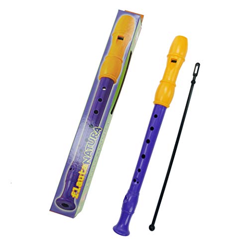 Reig Recorder With Score And Cleaner
