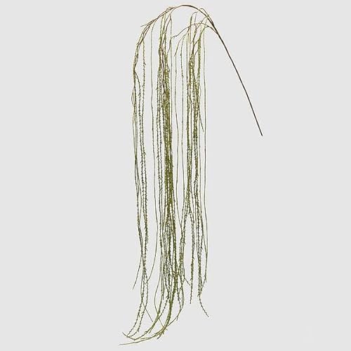 Edg Enzo De Gasperi Lycopodium Ramo L 186 Cm Colore Verde