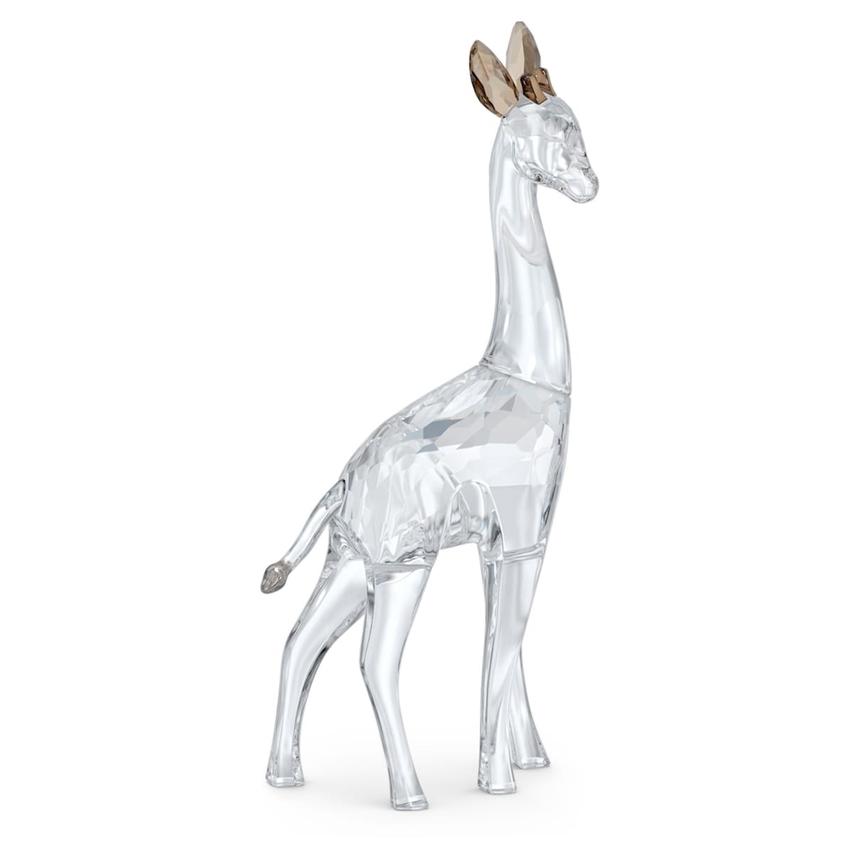 African Sunset Giraffa Nohea