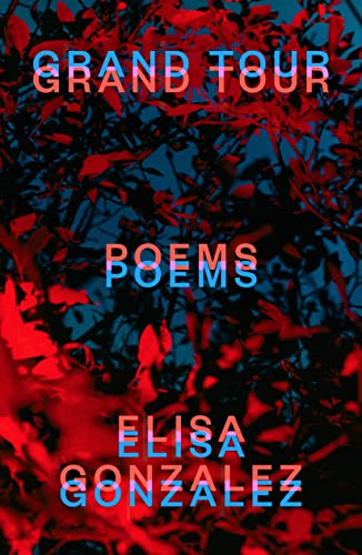 Grand Tour: Poems (English Edition)