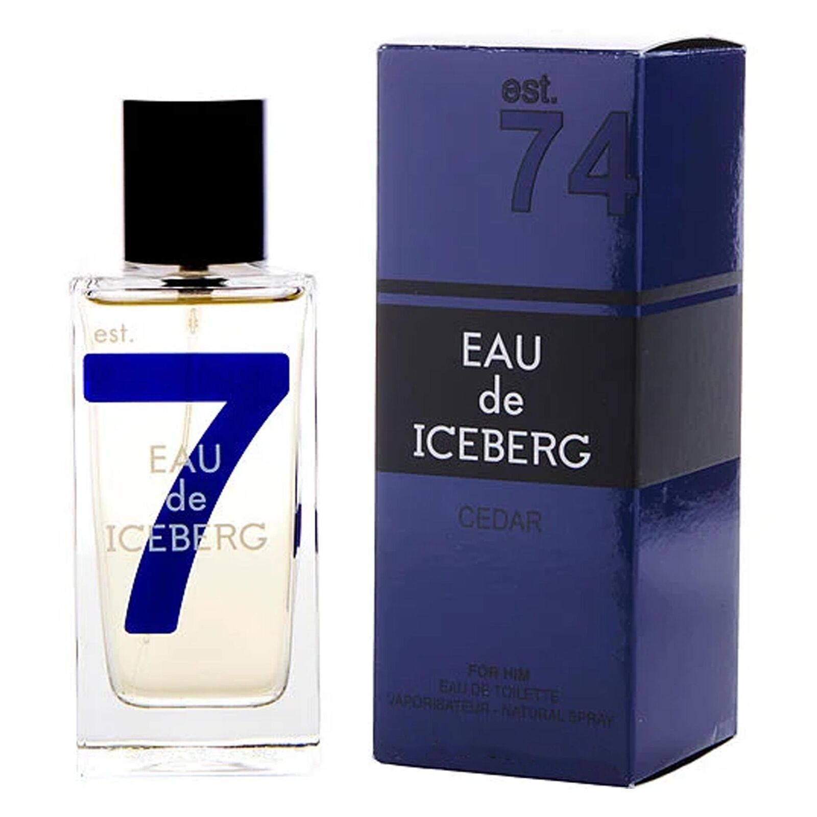 ICEBERG EAU DE ICEBERG CEDAR PROFUMO EDT UOMO 100ML