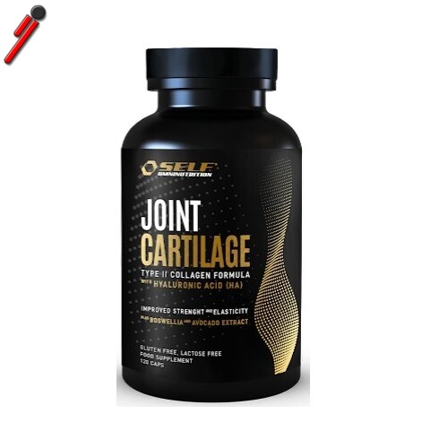 Self Omninutrition, Joint Cartilage, 120 cps MSM, Condroitina, Collagene