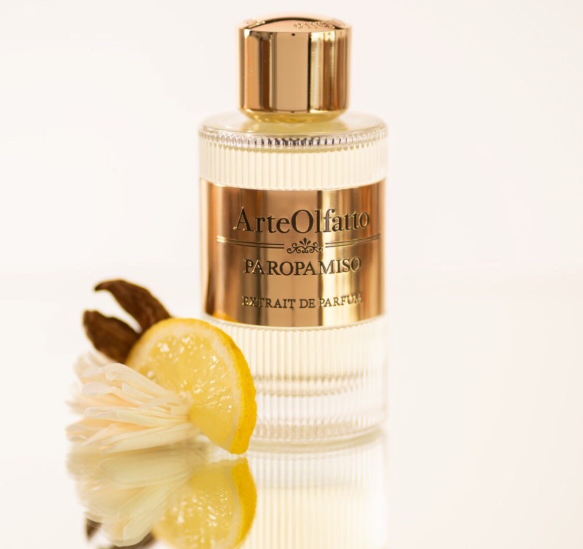 PAROPAMISO ARTE OLFATTO 100ML SPRAY ESTRATTO DI PROFUMO LUXURY PERFUMES
