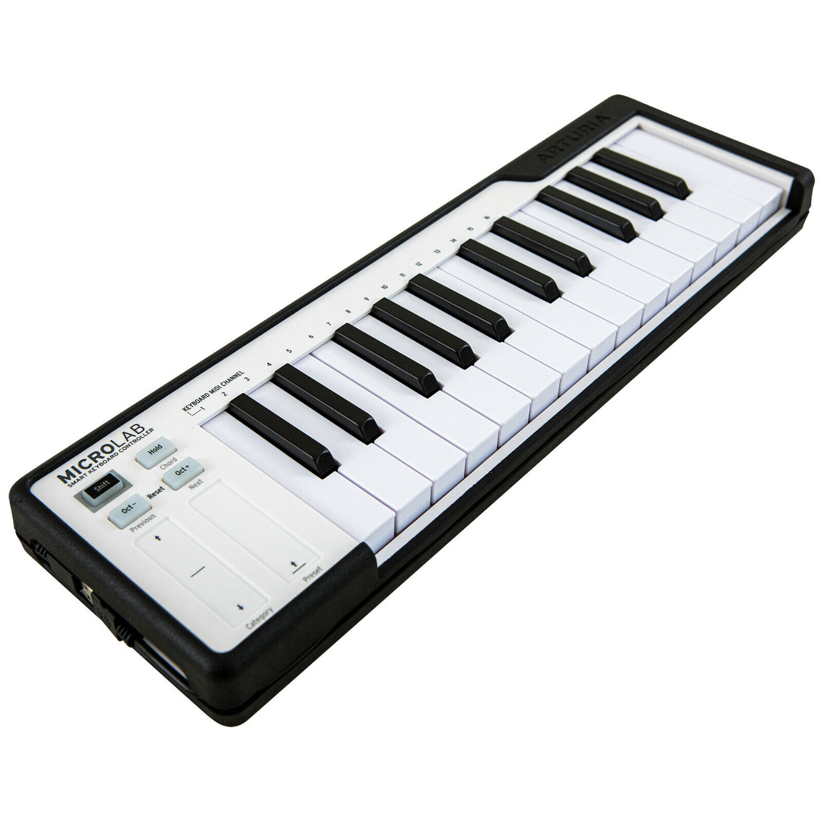 ARTURIA MICROLAB Tastiera Midi Usb Compatta 25 Tasti Producer Remixer Studio NEW