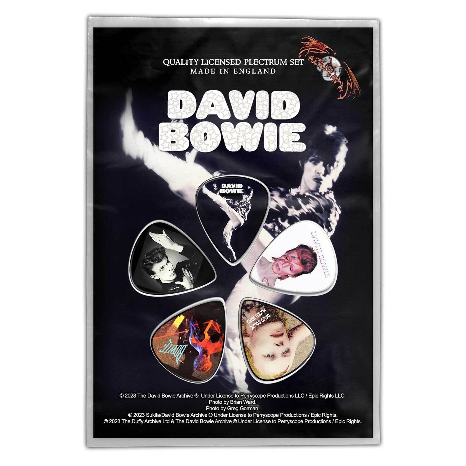 PLETTRI DAVID BOWIE - THE MAN WHO SOLD THE WORLD