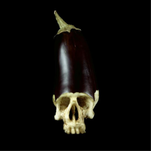 Gensu Dean & Denmark Vessey Whole Food (CD) Album