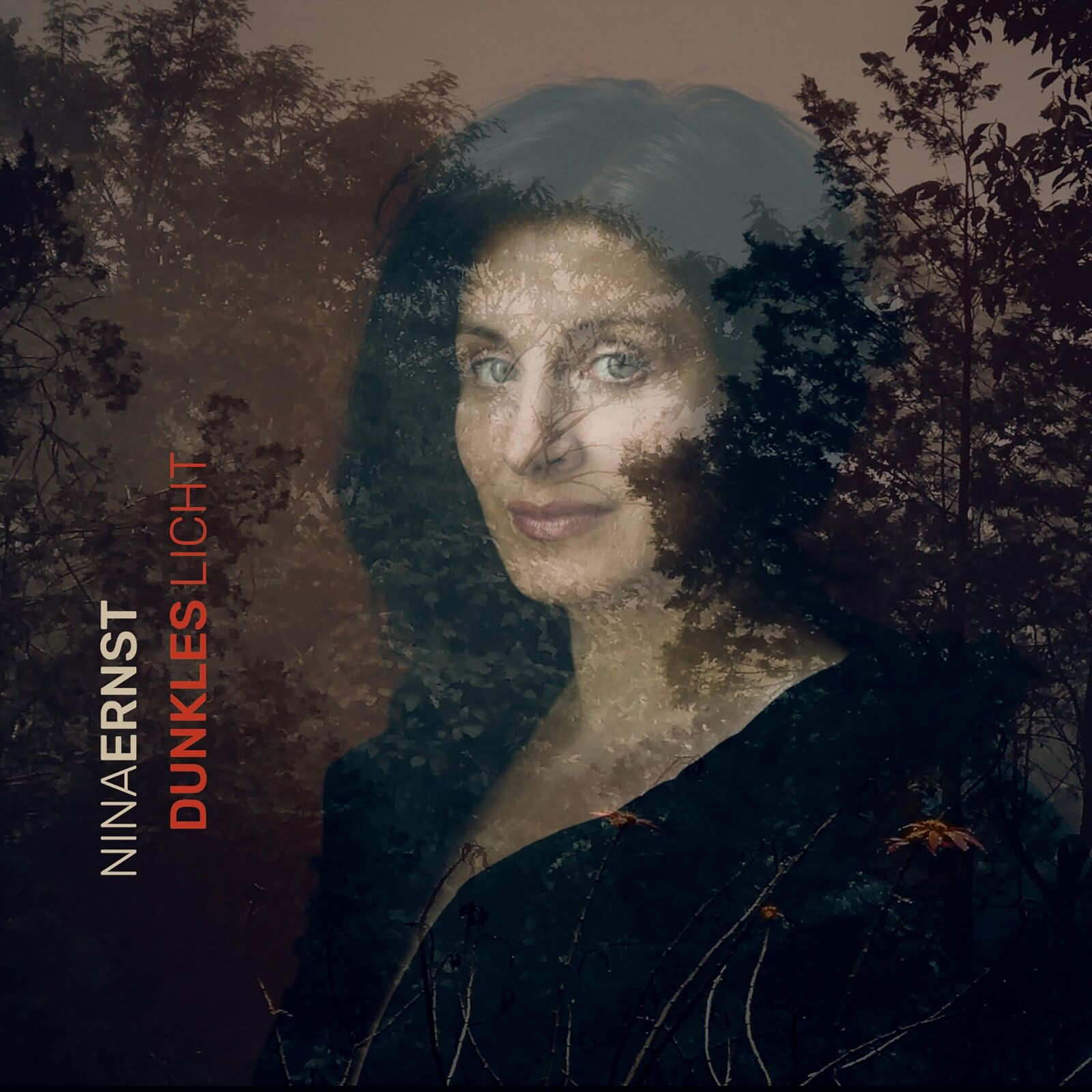 Ernst, Nina Dunkles Licht (CD)
