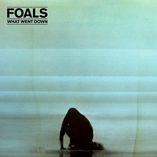 Foals - What Went Down - Cd + Dvd