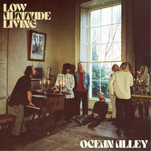 Ocean Alley Low Altitude Living (Vinyl LP) 12" Album (Clear vinyl)