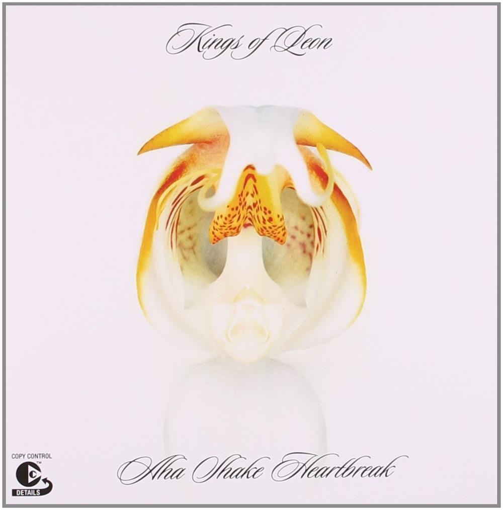Kings Of Leon - Aha Shake Heartbreak - AA.VV. (Audio Cd)
