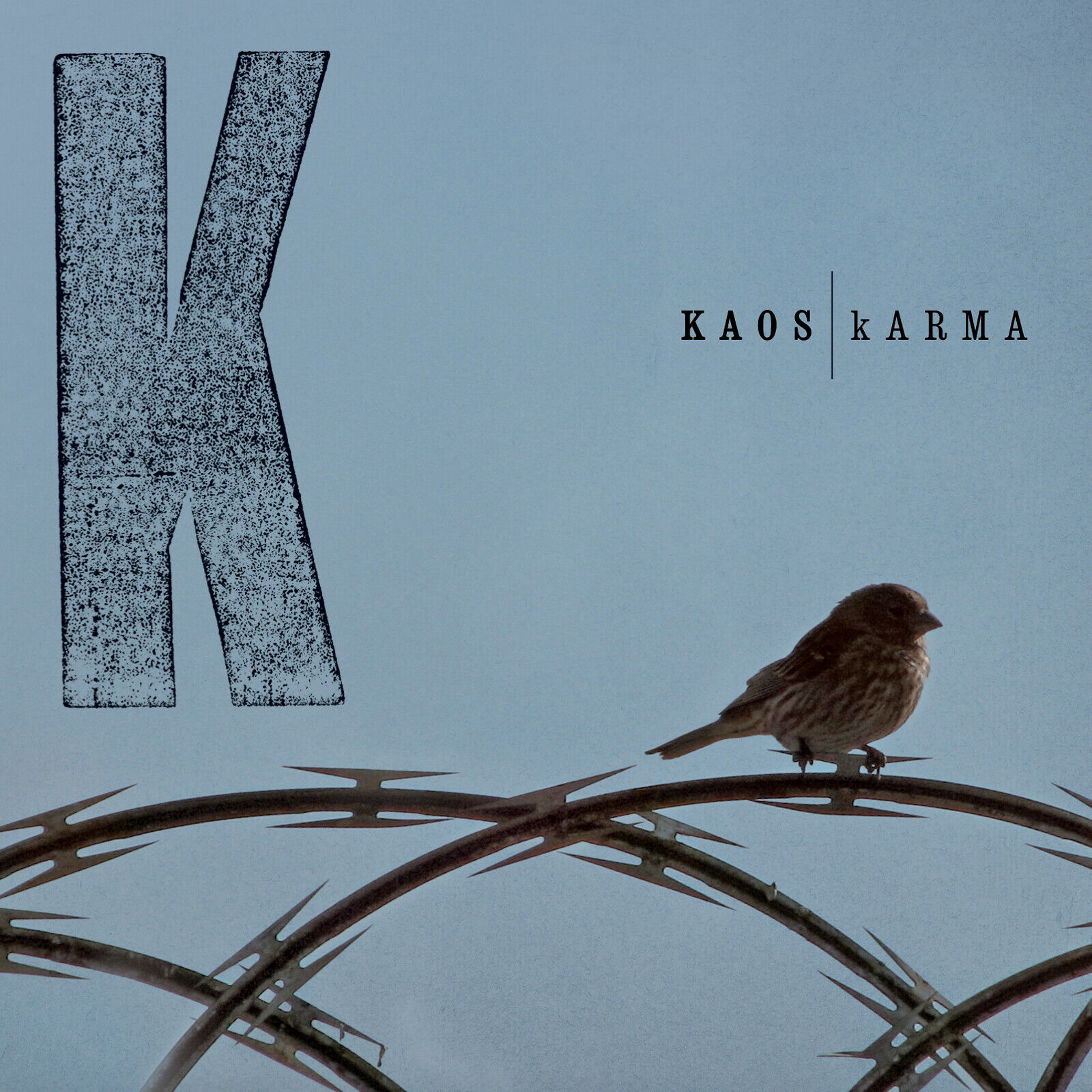 Kaos - Karma - 2 Vinili