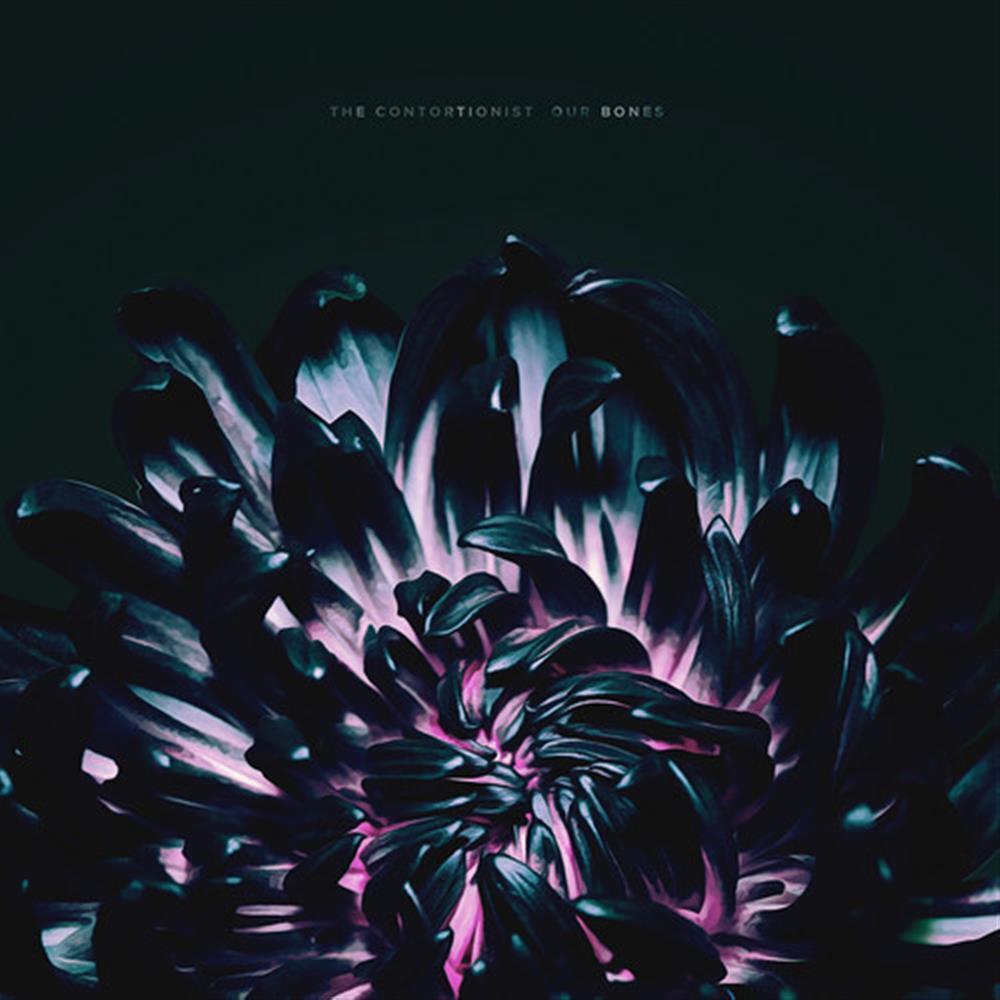 Contortionist (The) - Our Bones - AA.VV. (Audio Cd)